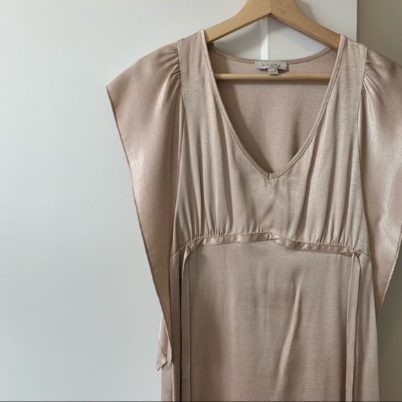 Axara Paris Champagne Dress - Picture 11 of 15